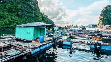 làng chài ba hang vịnh hạ long