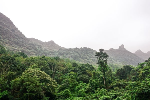 Khung cảnh hùng vĩ của rừng quốc gia Cát Bà nhìn từ cửa động Trung Trang